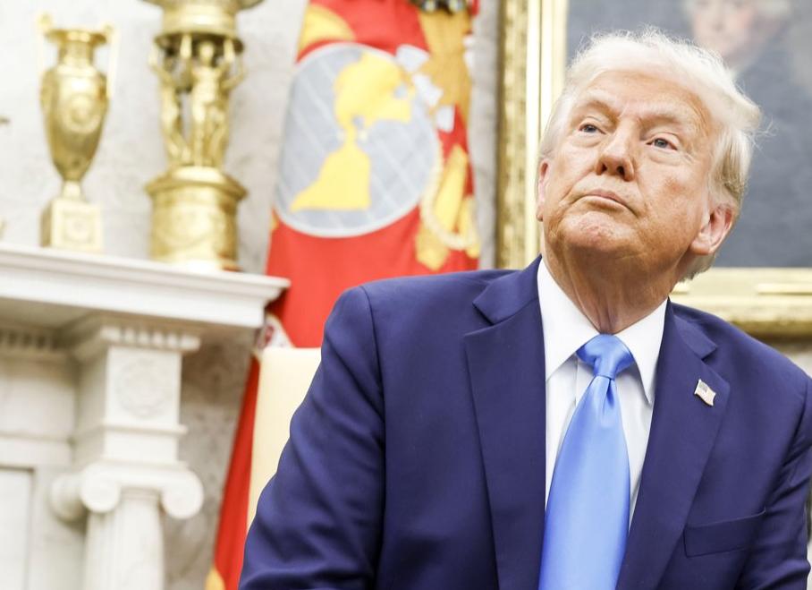 Правительство распорядилось начать подготовку специалистов в области искусственного интеллекта