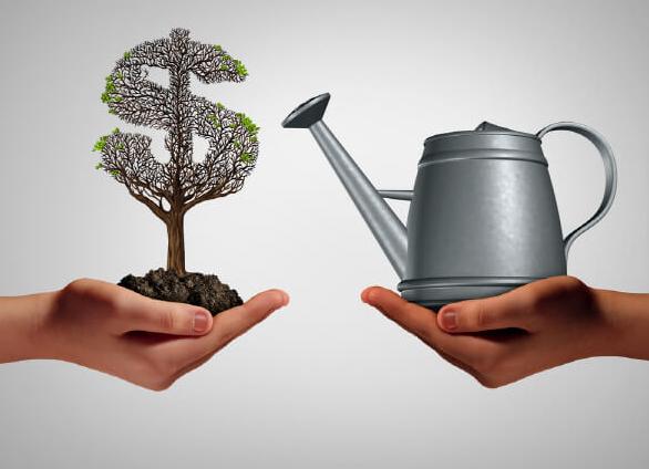 Как получить государственную субсидию на открытие бизнеса в 2024 году