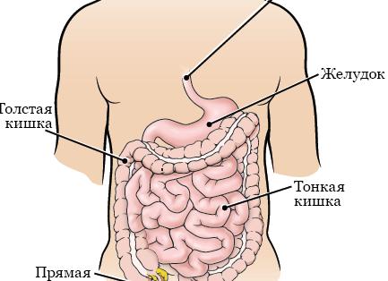 Как мотивировать сотрудников на работу: подробный гайд для руководителя